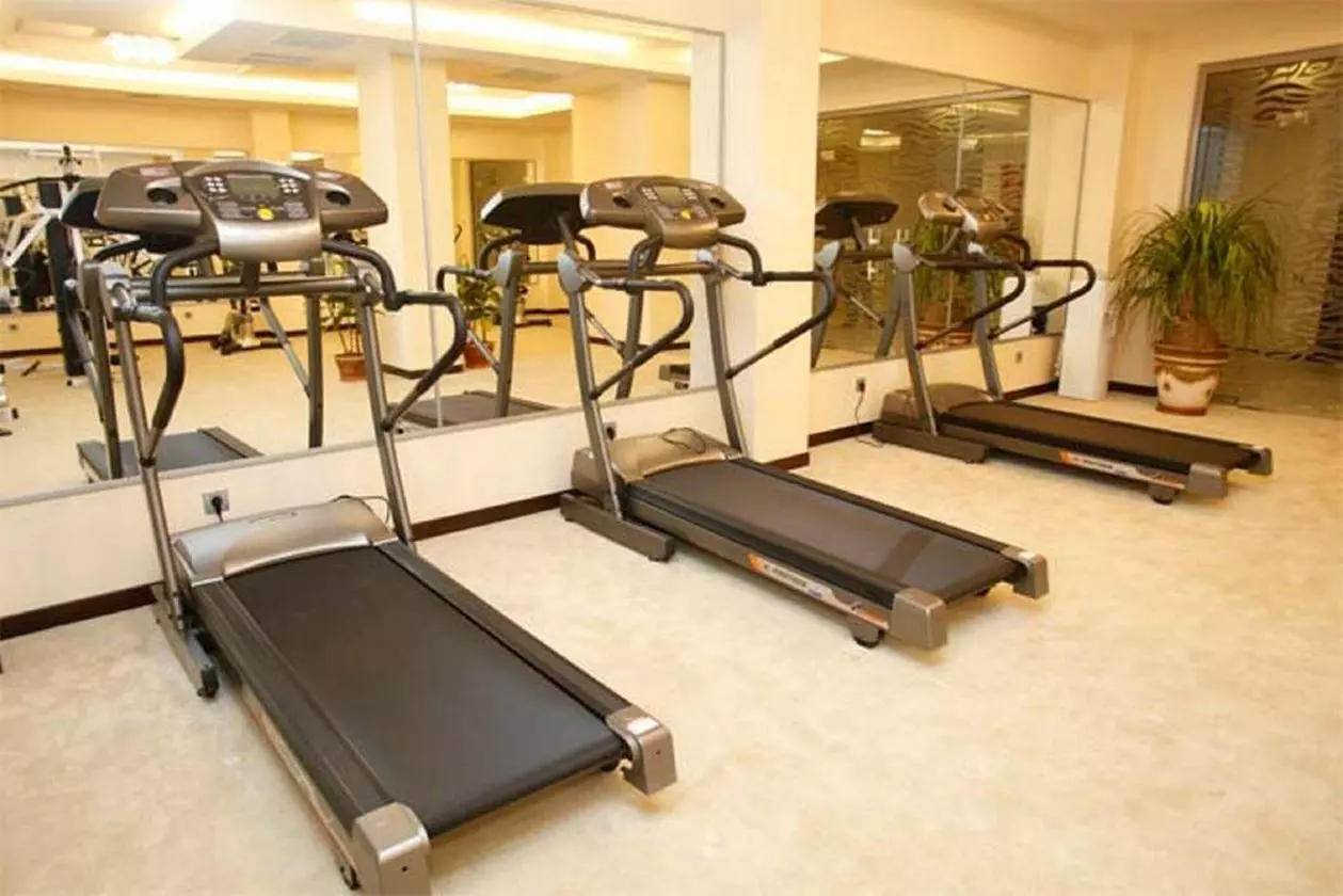 bosfor_shabaviz (8).jpg